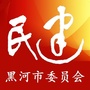 民建黑河市委ico