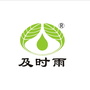 梅家坞及时雨西湖龙井ico