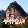 麦积政法ico