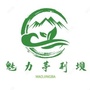 魅力茅荆坝公众号ico