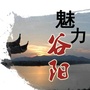 魅力谷阳ico