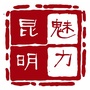 魅力昆明ico