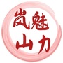 魅力岚山ico