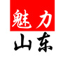 魅力山东公众号ico