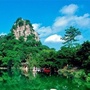 魅力鱼峰ico