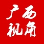 广西视角ico