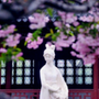 南京莫愁湖景区公众号ico