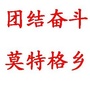 团结奋斗的莫特格乡ico