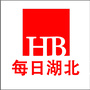 每日湖北公众号ico