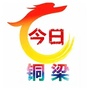 今日铜梁ico