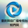 掌上重庆ico