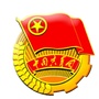 麻章青年ico