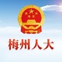 梅州人大ico