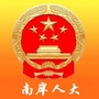 南岸人大ico