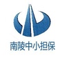 南陵中小担保ico