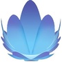 南山莲ico
