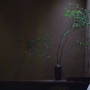 南岩青茶生活ico
