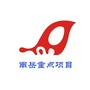 南岳重点项目ico