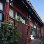 青桂花园ico