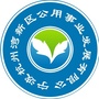 宁波杭州湾新区公用事业发布ico