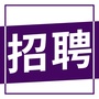 上海招聘情报ico