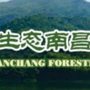 生态南昌ico
