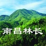 南昌林长ico