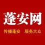 蓬安网ico