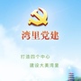 湾里党建ico