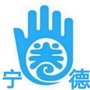 掌上宁德网ico