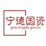 宁德国资ico