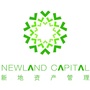 新地资本ico