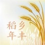 稻香年丰ico