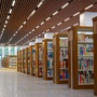 南京林业大学图书馆ico
