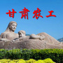 甘肃农工ico