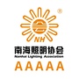 南海照明协会ico