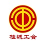 桂城职工家公众号ico