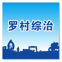罗村综治公众号ico