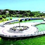南湖赊月ico