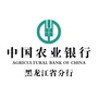 龙江农行文化ico
