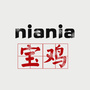 niania宝鸡ico