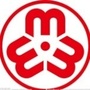 尼木妇女ico