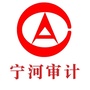 宁河审计ico