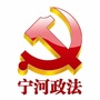 宁河政法ico