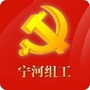 宁河组工ico