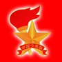 宁夏少先队公众号ico