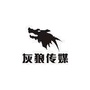 新灰狼传媒ico