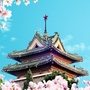 南京农业大学人才办ico