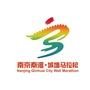 南京秦淮城墙马拉松ico