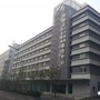 鼓楼人社ico